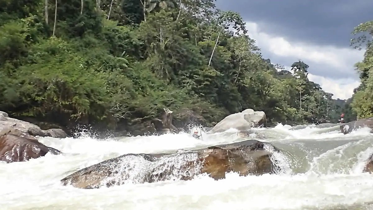 Fast Fred kayaking the Rio Jondachi