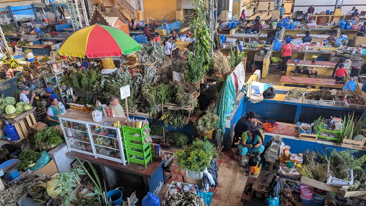 Vibrant tropical fruits and fresh produce on display at the local market in Puyo, Ecuador