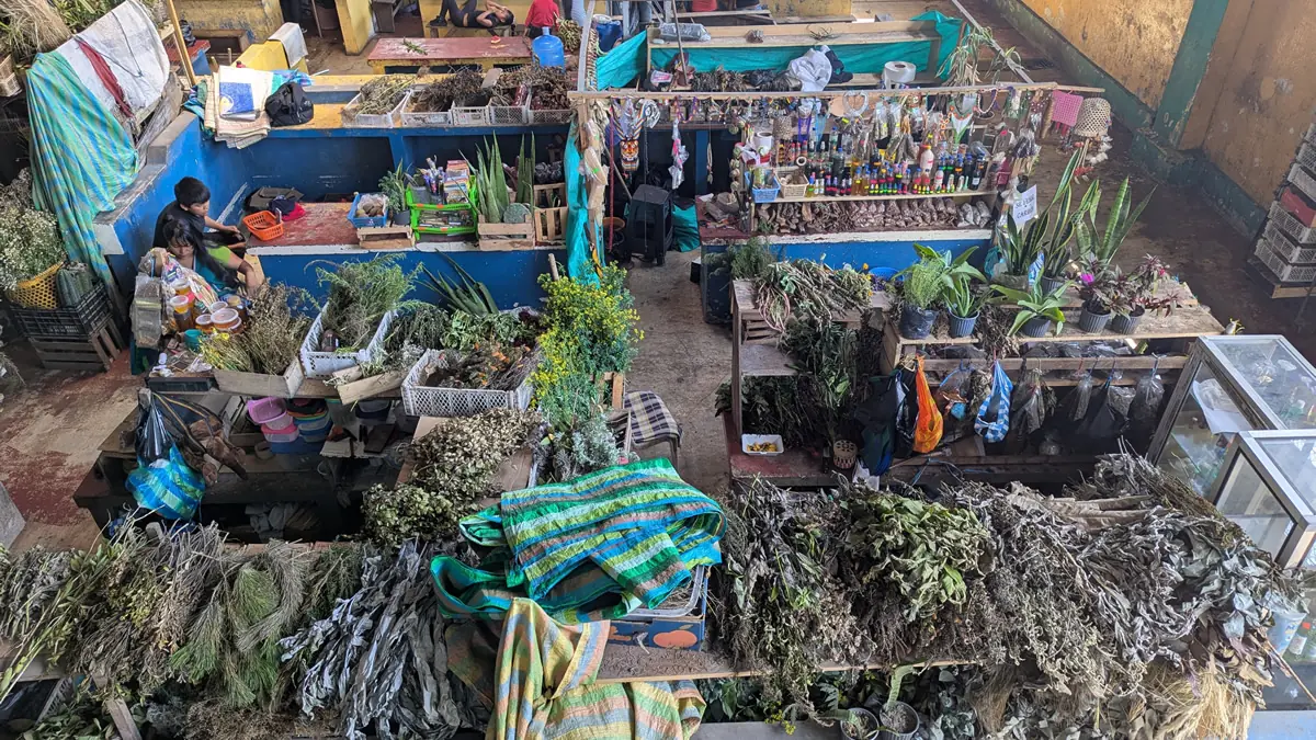 A bustling local market (mercado) in Puyo, the gateway to the Ecuadorian Amazon