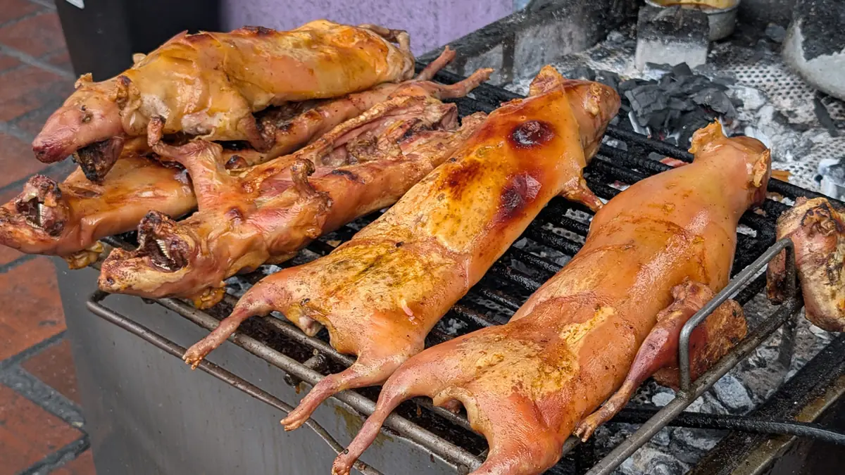 Traditional Cuy (guinea pig) roasting over hot charcoal at the local market in el centro Baños, Ecuador.
