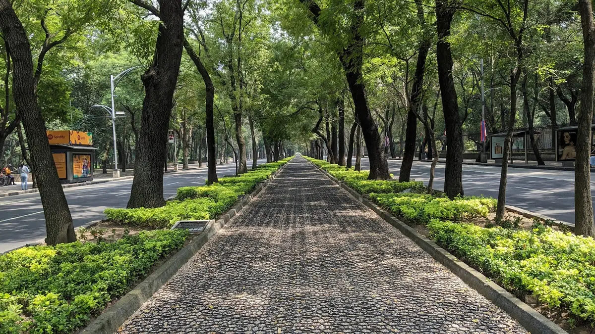 Walking paths in Mexico City