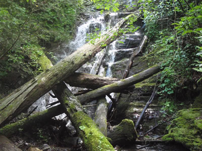 Waterfall above nameless ledge on the Upper Green